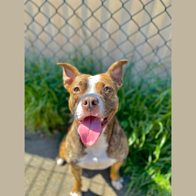 Photo of Mystique