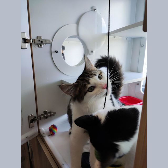 Photo of Bugs & Daffy