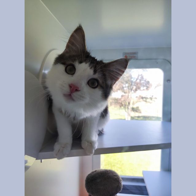 Photo of Bugs & Daffy