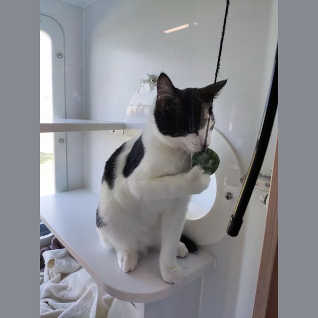 Photo of Bugs & Daffy