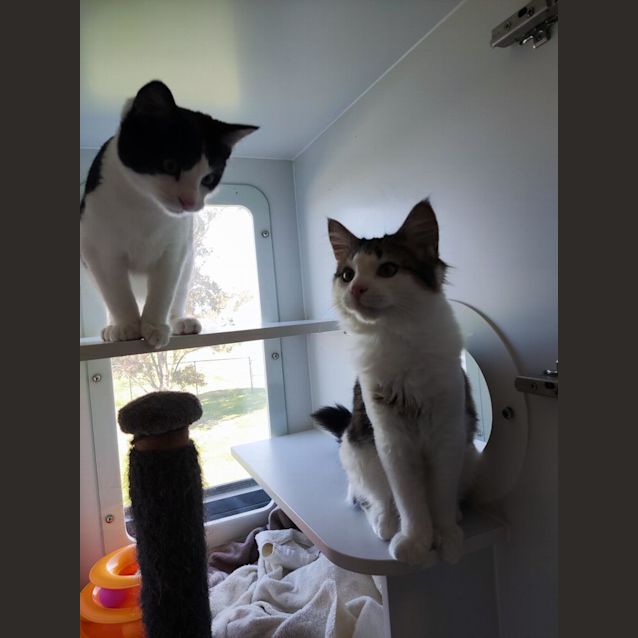 Photo of Bugs & Daffy