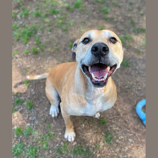 Photo of Happy Gilmore