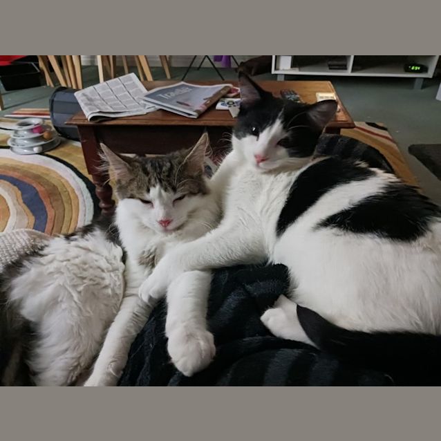 Photo of Bugs & Daffy