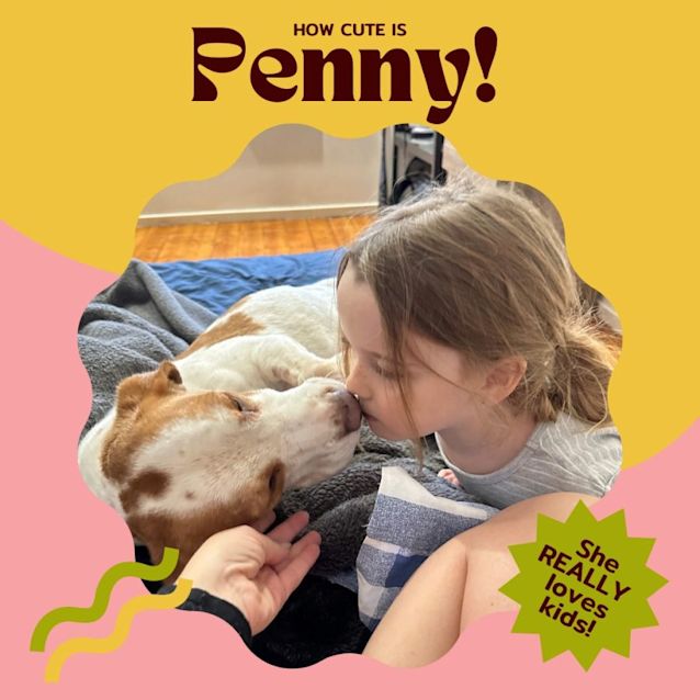 Photo of Penny!!🐶🧡