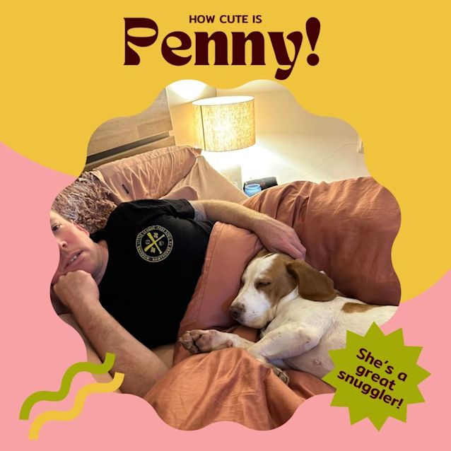 Photo of Penny!!🐶🧡