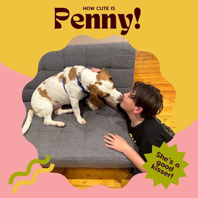 Photo of Penny!!🐶🧡