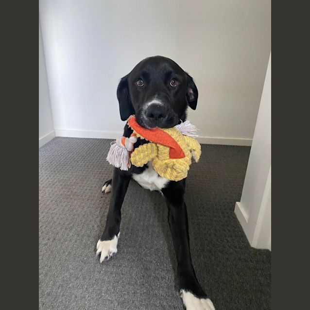 Photo of Spanner