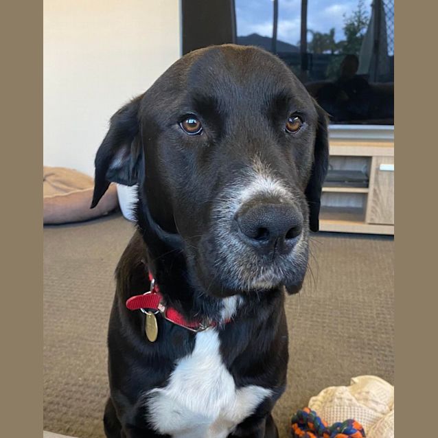 Photo of Spanner
