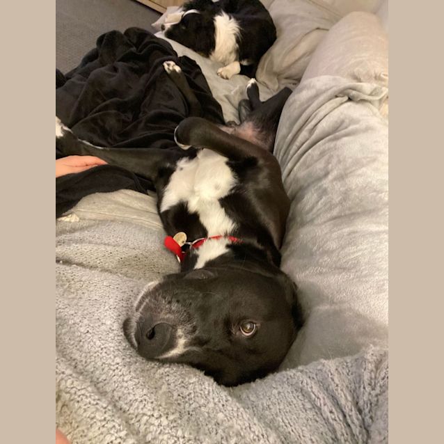 Photo of Spanner