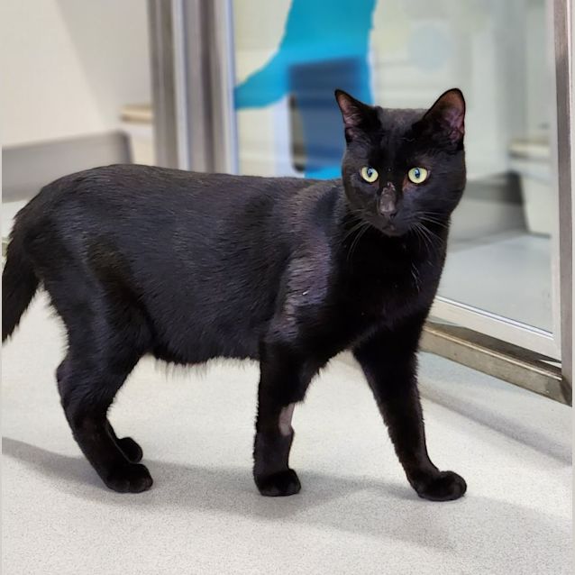 Photo of 👻Gomez F02585👻