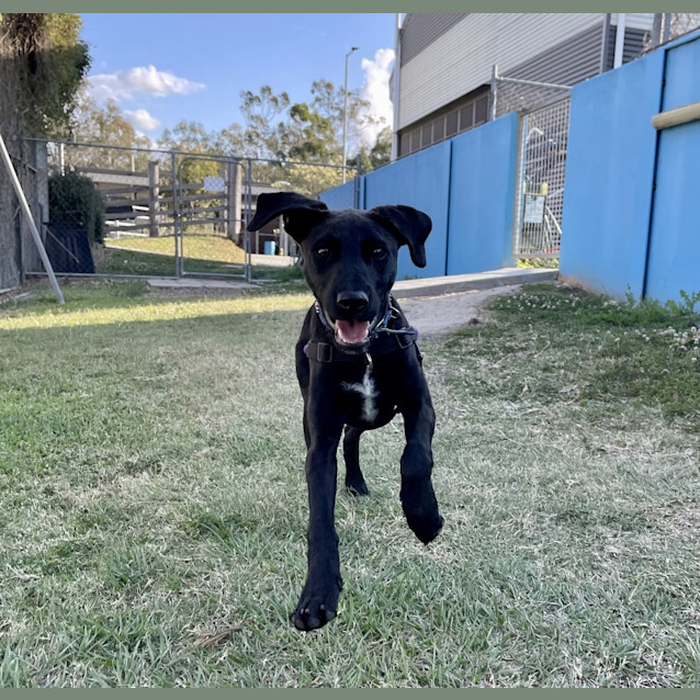 Photo of Xena