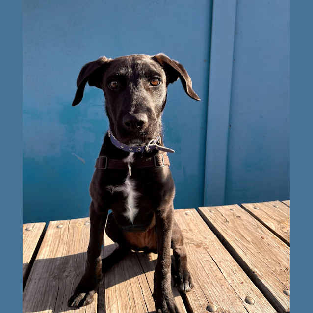 Photo of Xena