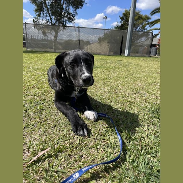 Photo of Mavis