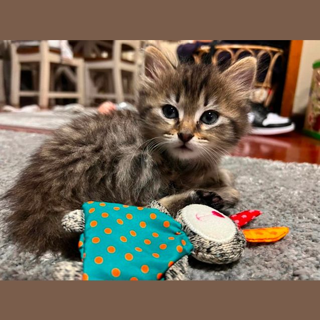 Photo of Millie And Maverick