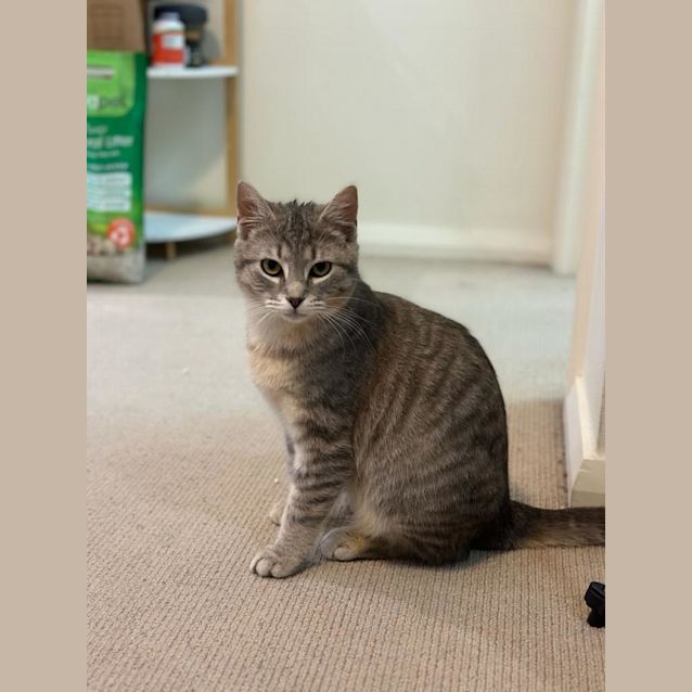 Photo of Max
