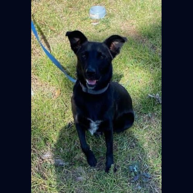 Photo of Luna