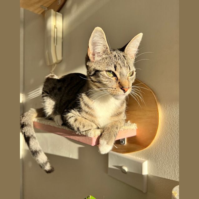 Photo of Jessie And James