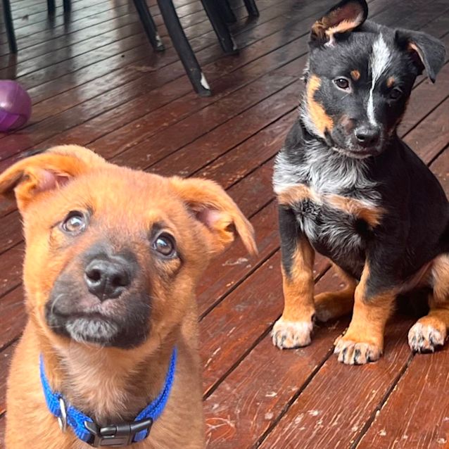 Photo of Teddy 🧸❤️