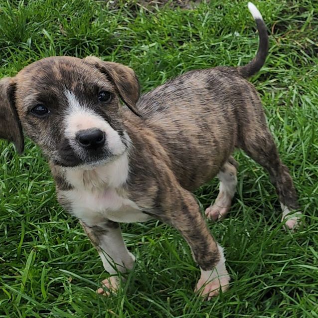 Photo of Arya