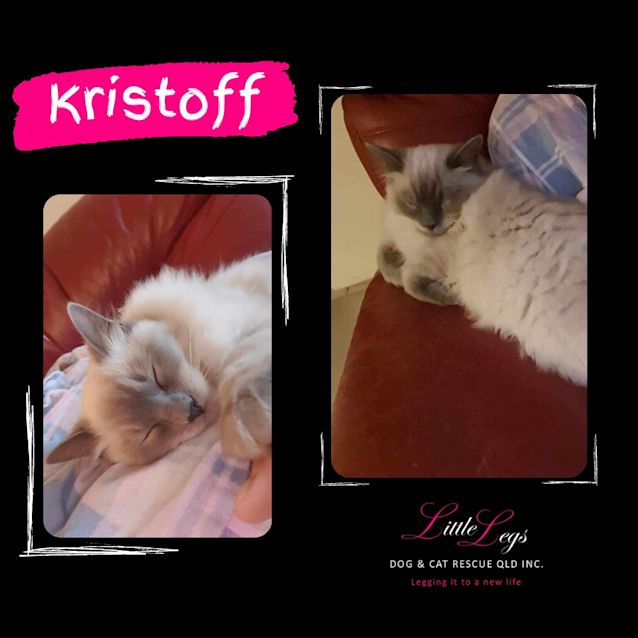 Photo of Kristoff