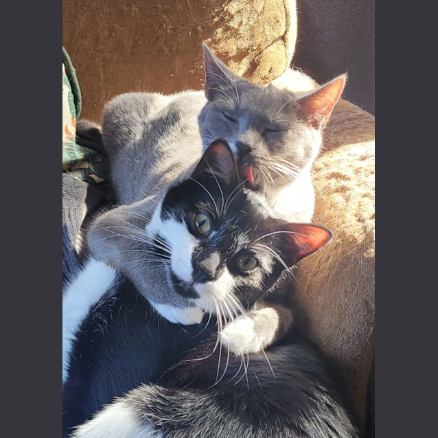 Photo of Sunday & Wednesday 