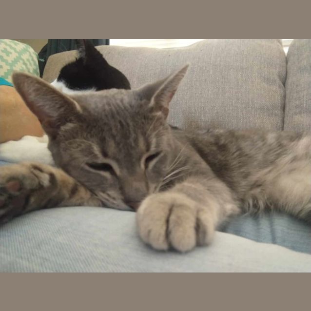 Photo of Kiara And Coco