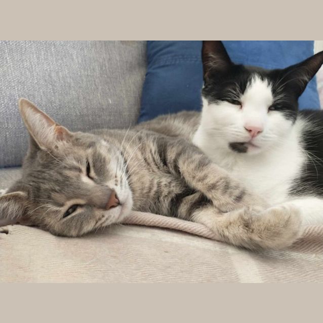 Photo of Kiara And Coco