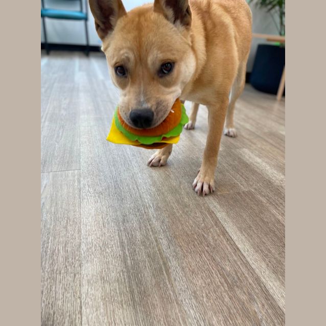 Photo of Maggie