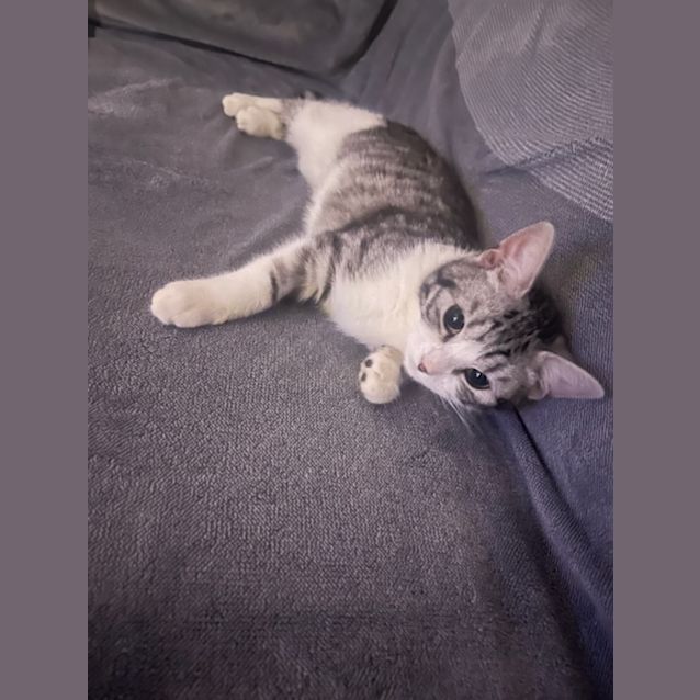 Photo of Felicia