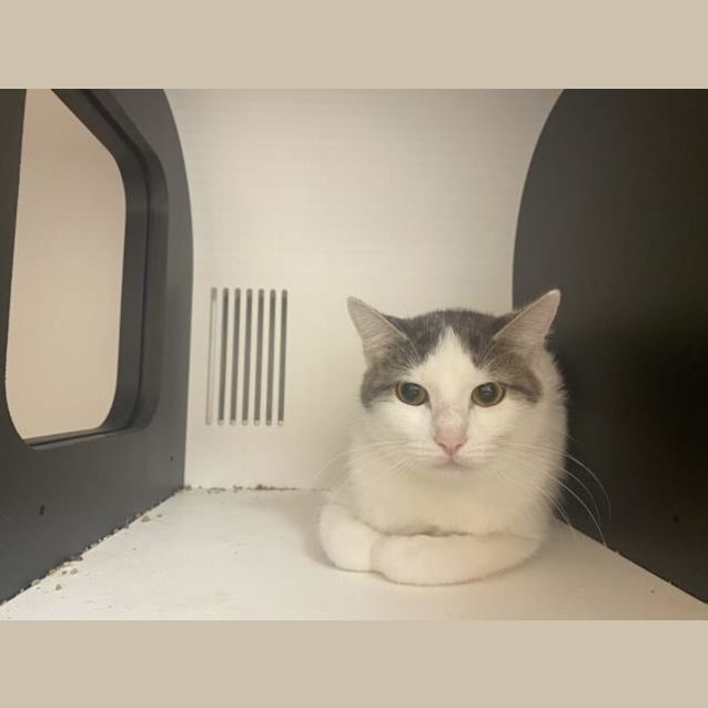 Photo of Bonnie (Imp 842)