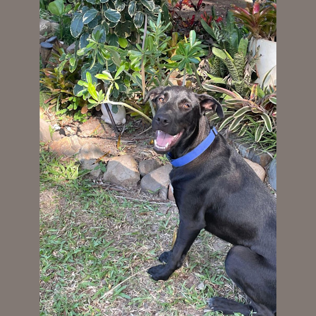 Photo of Buster