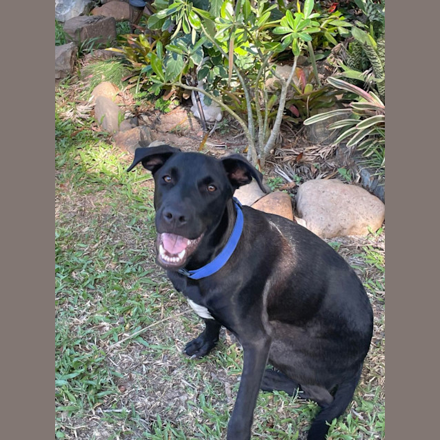 Photo of Buster