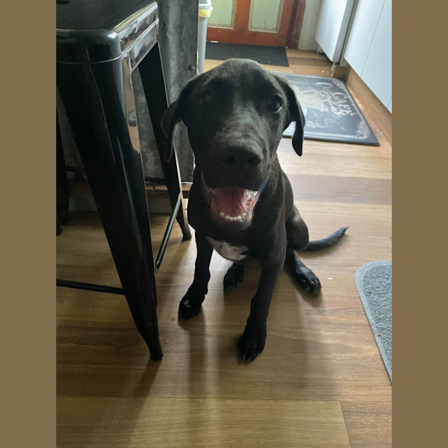 Photo of Buster