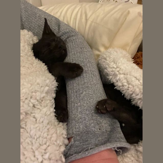 Photo of Juan Manuel Fangio 