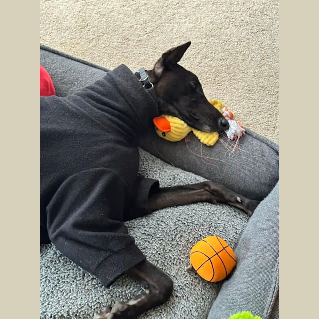 Photo of Harold (Harry) 