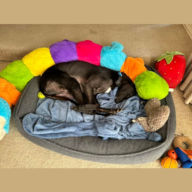 Photo of Harold (Harry) 