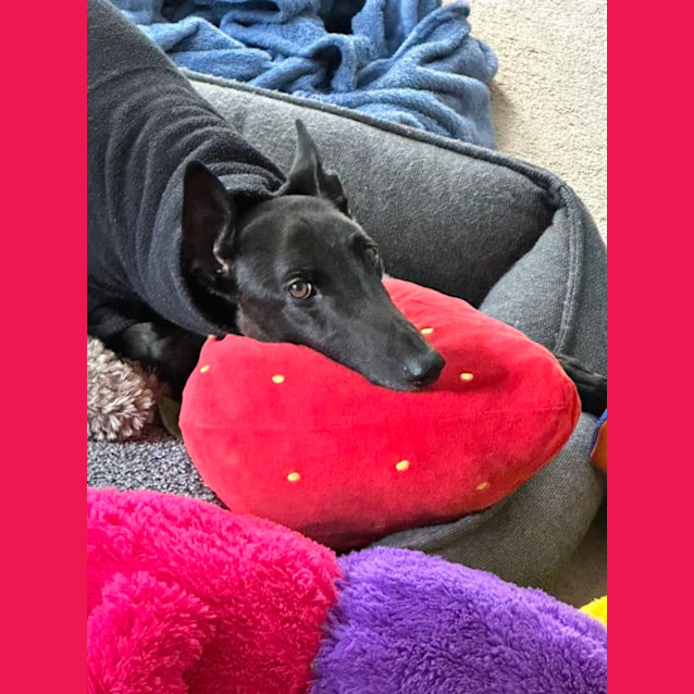 Photo of Harold (Harry) 