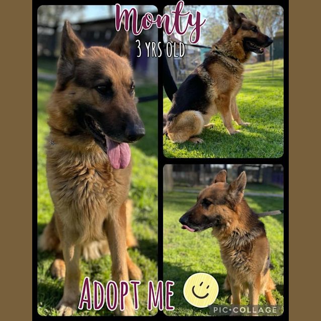 Photo of Monty