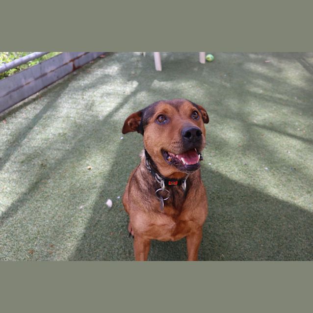 Photo of Sundae