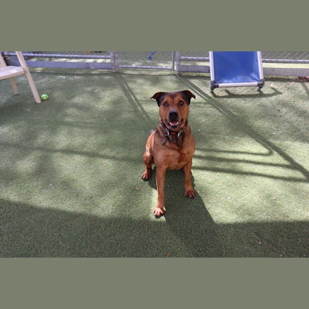 Photo of Sundae