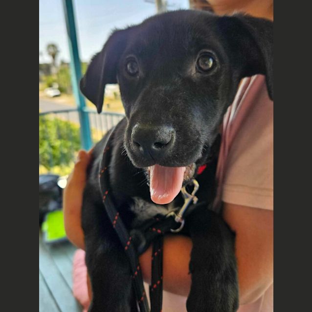 Photo of Kenny (Now Odin)