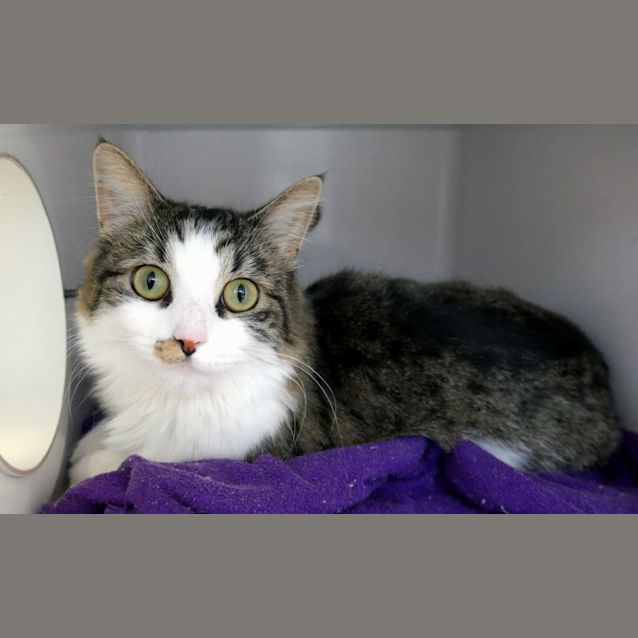 Photo of Rosie Sua011674