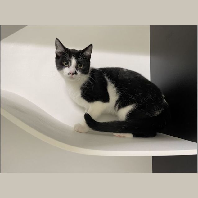 Photo of Cindy (951)