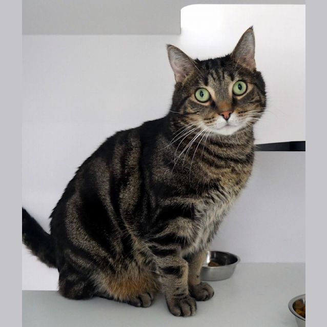 Photo of Elvis Sta011614