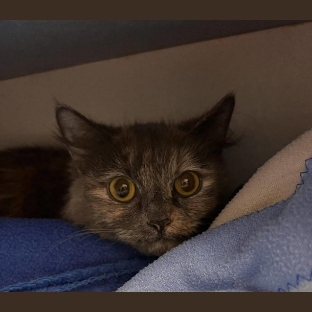 Photo of Storm