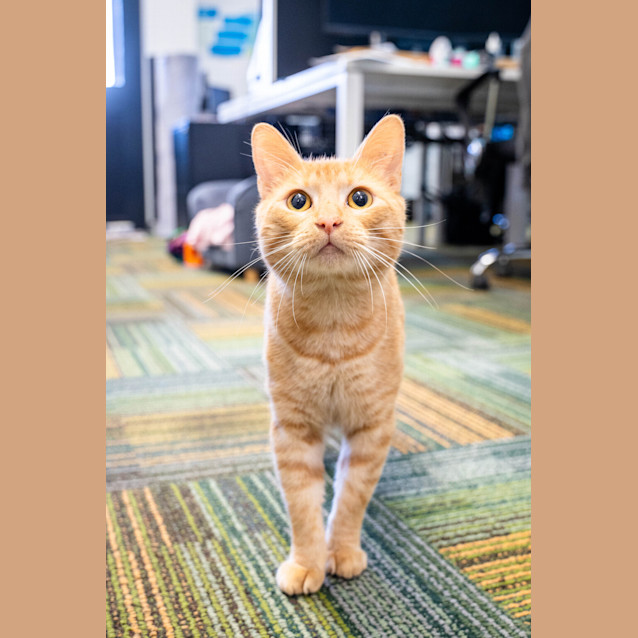 Photo of Mr G