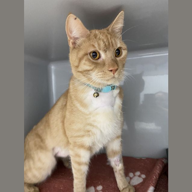 Photo of Ralphie