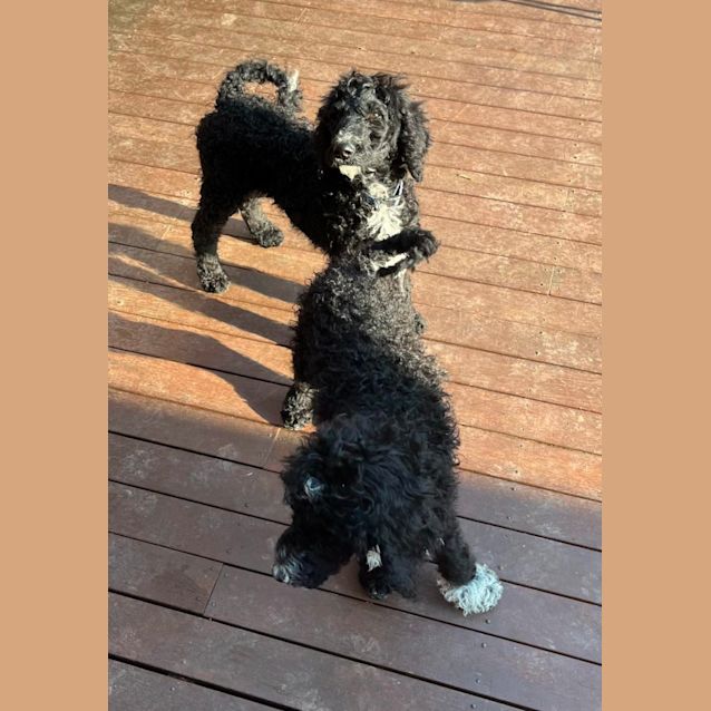 Photo of Willy And  Nelson