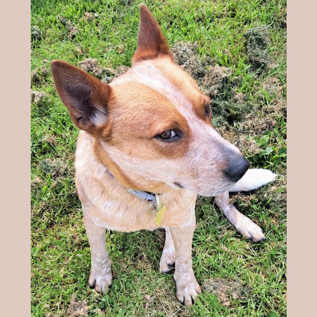 Photo of Sundance
