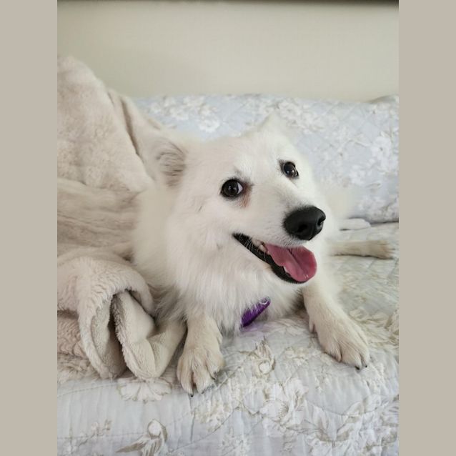 Photo of Kindee